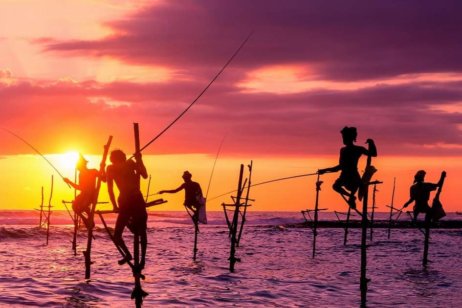 Ahangama Stilt Fishermen: The Ocean Perch