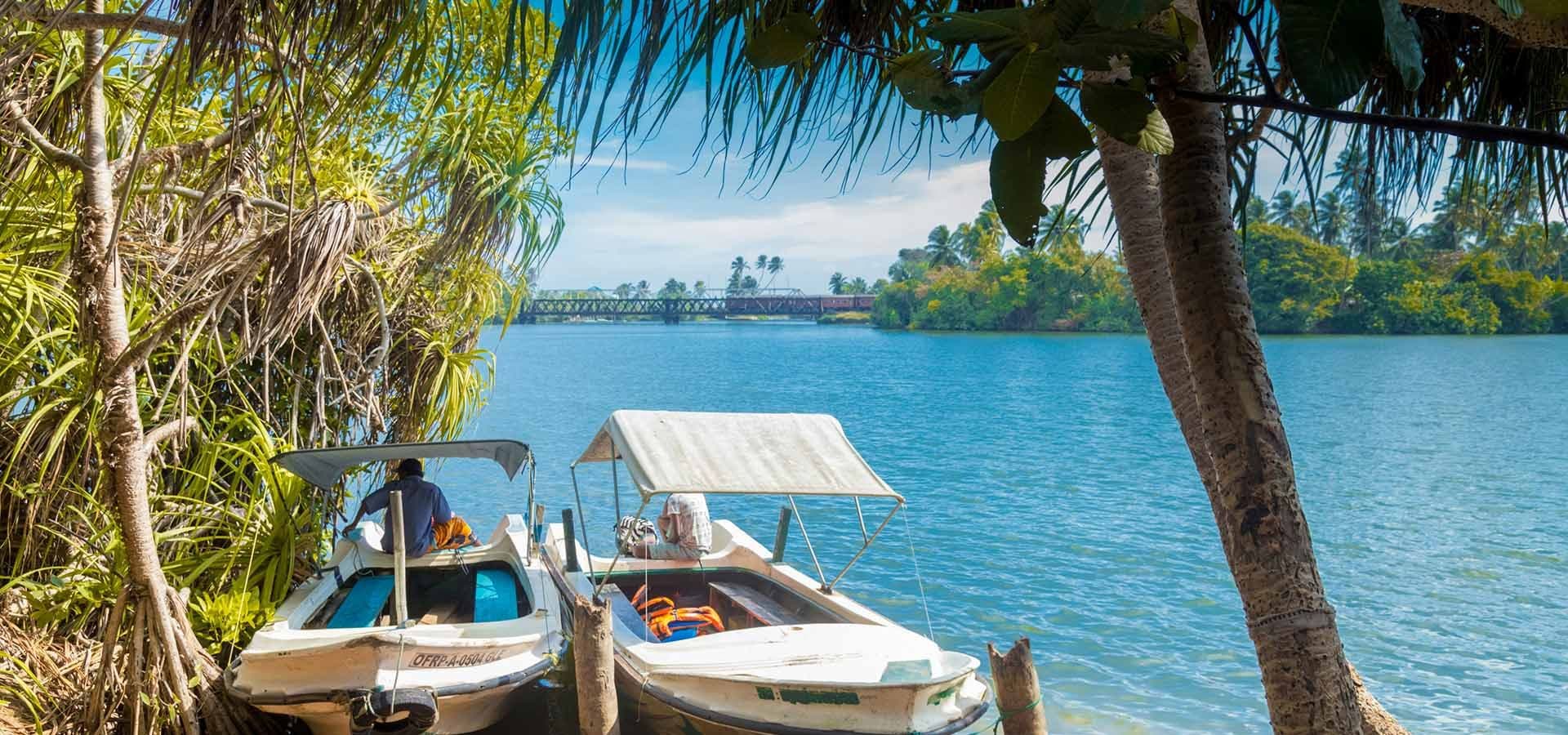 Koggala Lake Safari: Mangroves & Cinnamon Islands