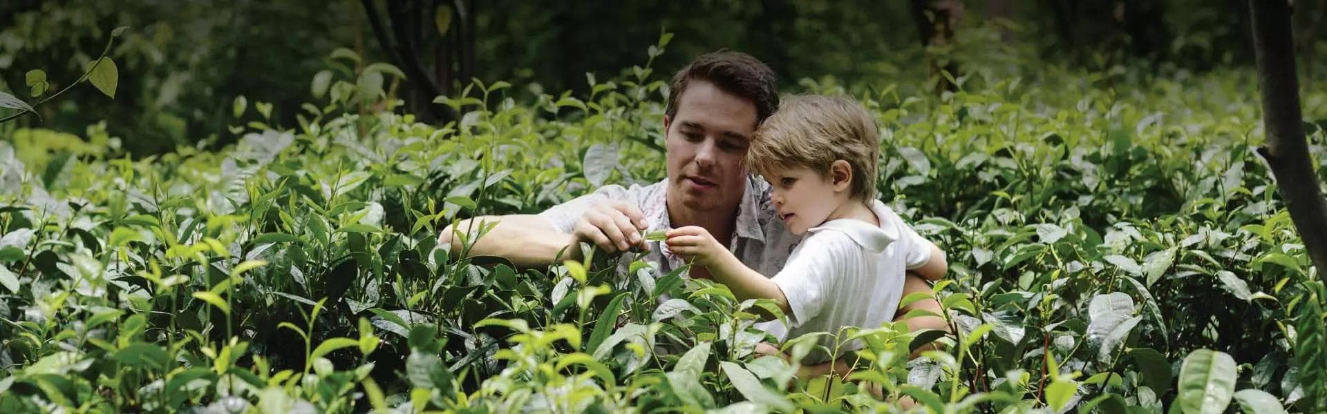 Ahangama’s Inland Secret: The Handunugoda White Tea Estate