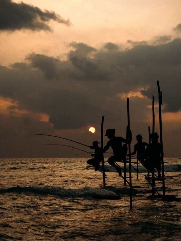 Ahangama’s Coastal Tradition: The Iconic Stilt Fishermen