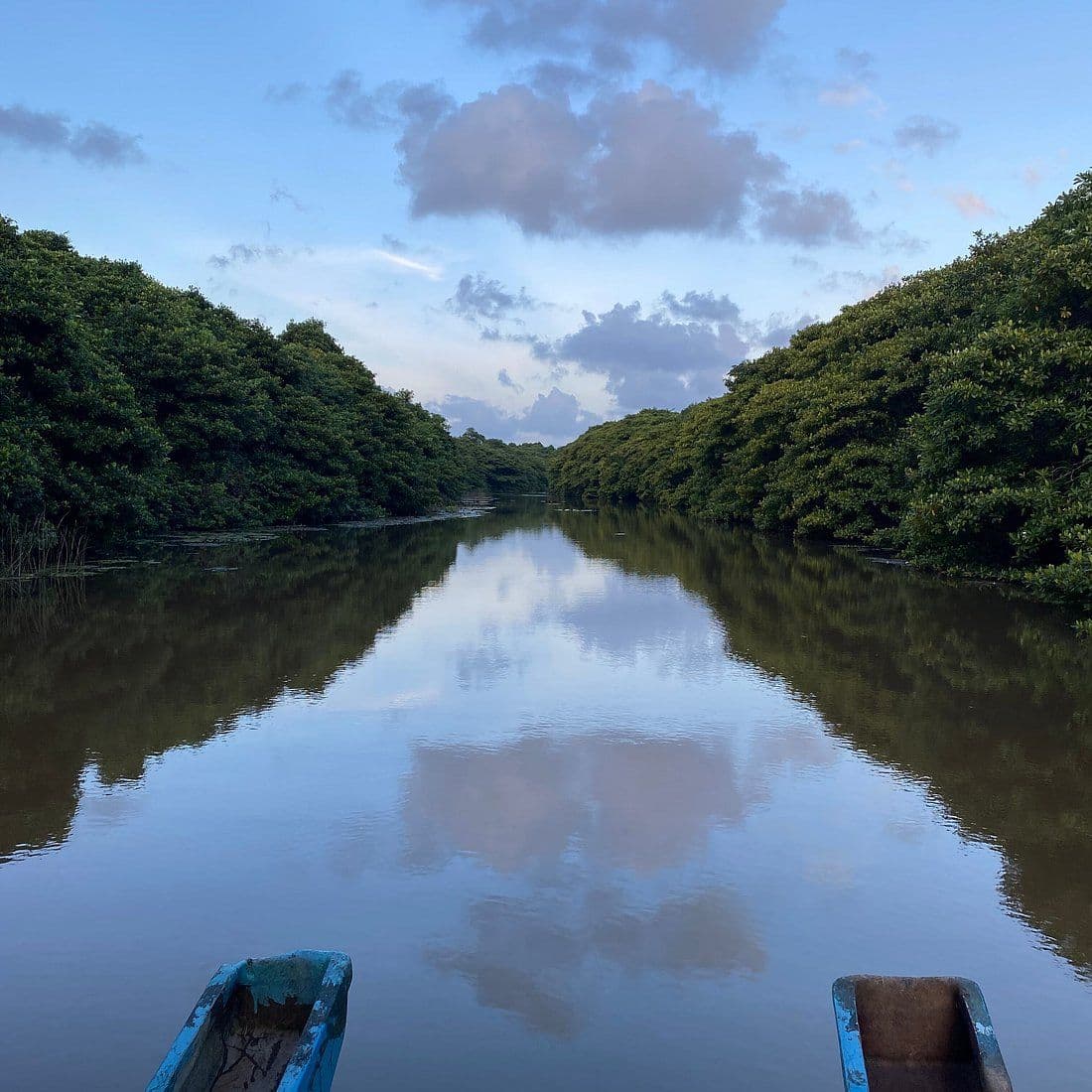 Ahangama’s Mirror Lake: A Serene Safari Through Koggala