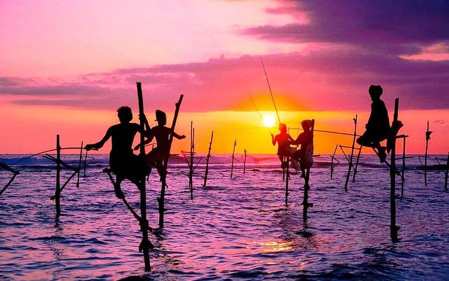 Ahangama’s Ancient Tradition: The Iconic Stilt Fishermen